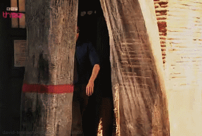 whyislifesolong:tennant-hair-porn:Found one behind this burlap curtain.Oh my fucking god help me 