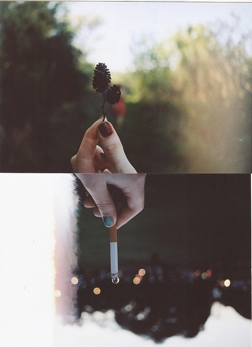 laraaibb.tumblr.com/post/61772089453/