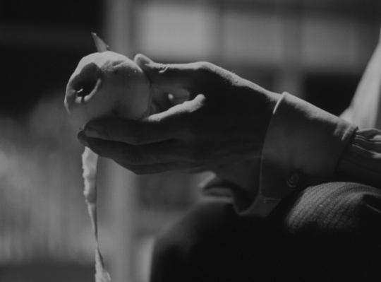 falsenote:Late Spring (1949)