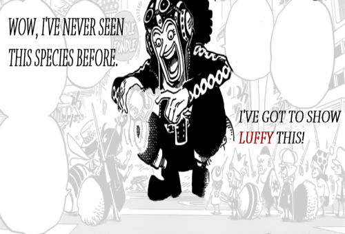 manlyfronytail:  Usopp throughout Dressrosa 