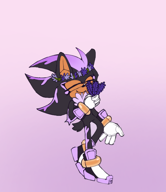 Lavender Days ((Sonic X Shadow One Shot))