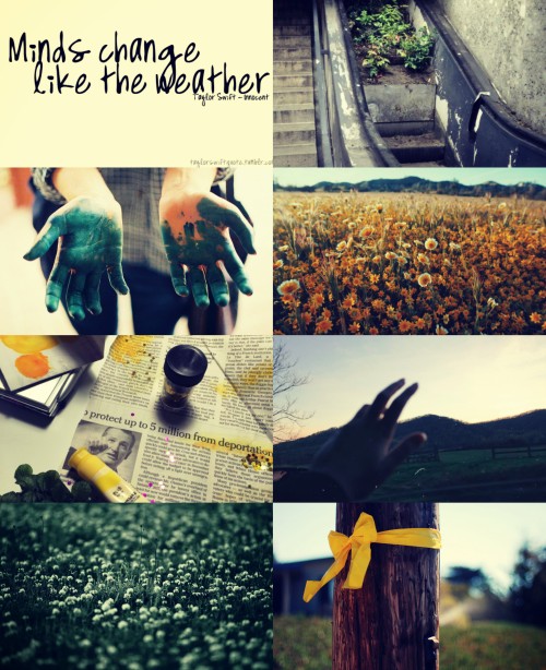 briar-rose-aesthetics - disaster