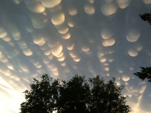Craig Lindsay - Formation of Mammatus Clouds over the city of Regina, Saskatchewan, Canada on 2012-0