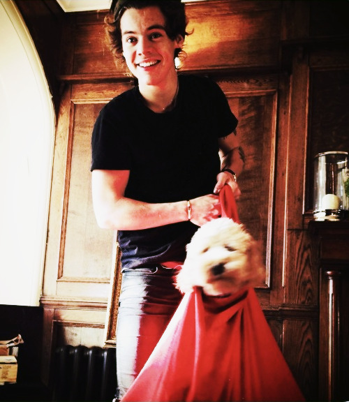 blamestyles:  “mrbenwinston: A dog is for life, not just for Christmas”