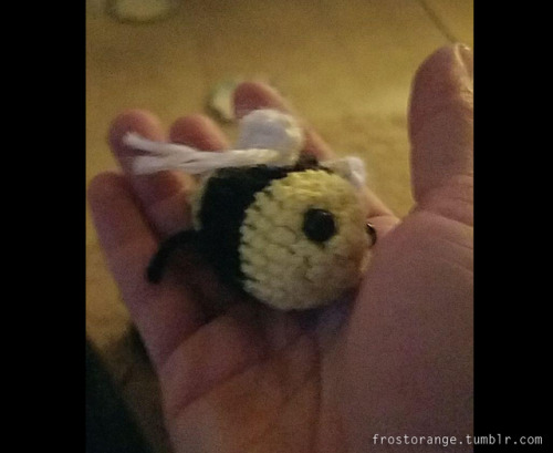 I sent our desert friends a gift for christmas, a small crochet bee toy.  Marie laid claim to i