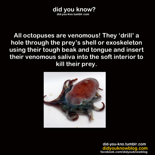did-you-kno:  Source