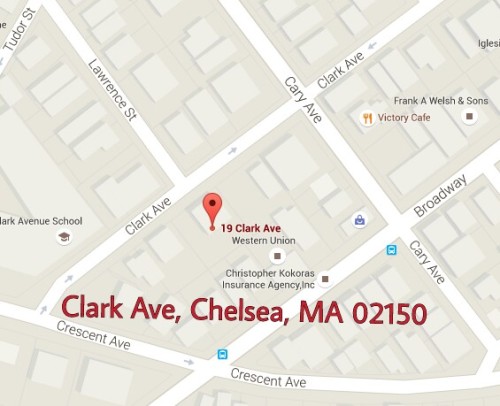 sweetiesugarbird: parrotletpeete: I got a late night text about a bird in Chelsea MA on Cary ave(z