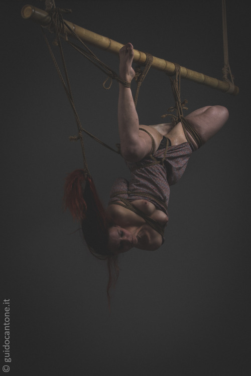 Porn kirigamikinbaku:  http://www.abbraccidicorde.com/brainstorm-studio/Kirigami photos