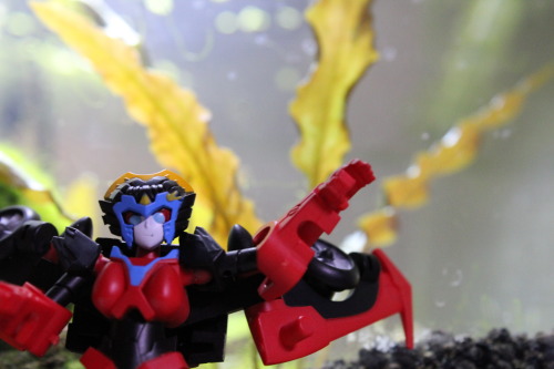 Windblade selfie 