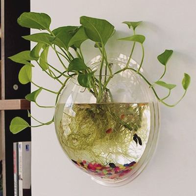 tobious:Creative Wall Hanging Transparent Glass Vase