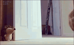 4gifs:  “Is he here?“ "Is he here?“ "Is