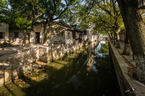 fuckyeahchinesegarden: Water Town, China. 杰Photo