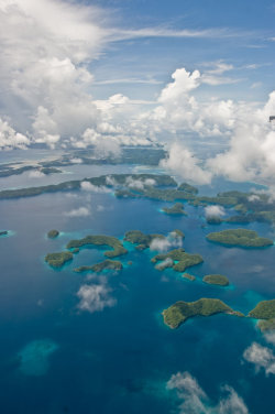 touchdisky:  Rock Islands | Philippines by MarkKenworthy 