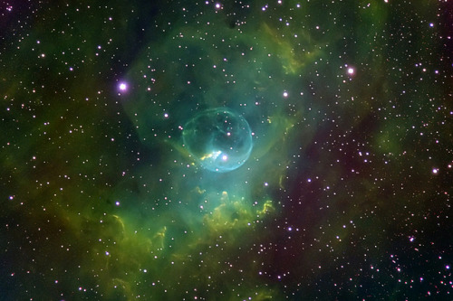 ocheeva: NGC7635 (Bubble Nebula) SHO (Work in Progress) by floppypaws on Flickr.