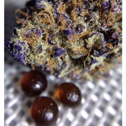 letssmokeloud:  Always dank weedporn by macromob420! Visit LetsSmokeLoud.com for dank weed pics!