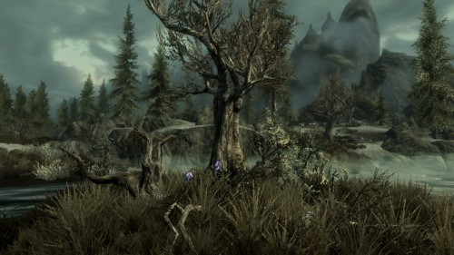 skyrim-photography:  Marshes Near Morthal- Skyrim-Photography  Requested by: thementorking