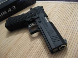 rollerman1:Springfield Armory 1911 with rail.