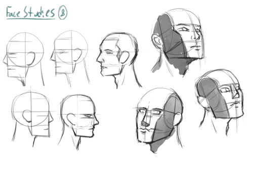 Wednesday UpdateSome face studies from back around the same time I did those wing studies. I’d thoug