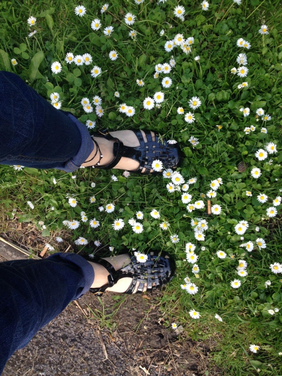 stefanysite:  spring.  