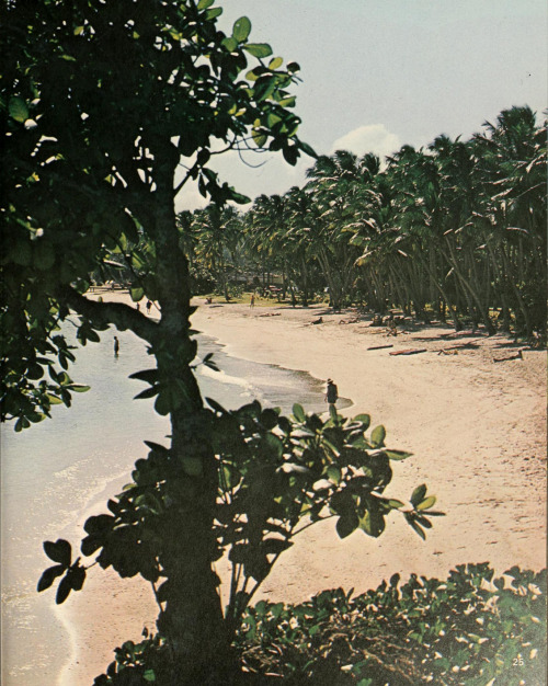 equatorjournal:  fiji, 1971