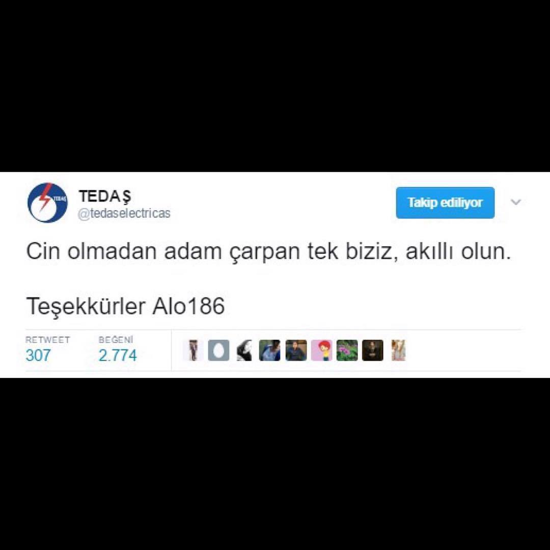 TEDAŞ

Cin olmadan adam...