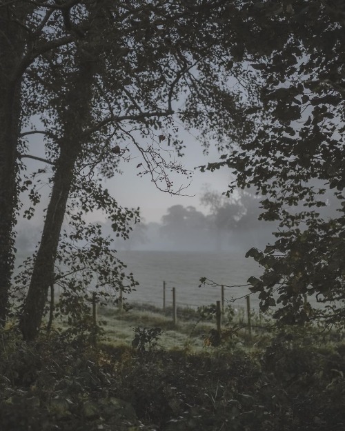 Instagram | Thewildwoodmoth