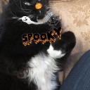 heylookmaimspooky avatar