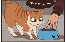 16ruedelaverrerie:  But what if the stray