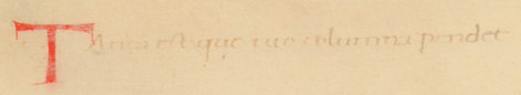 Tanta est quae Titio columna pendetQuanta lampsachiae colunt puellaeHic nullo comitante nec molestoT