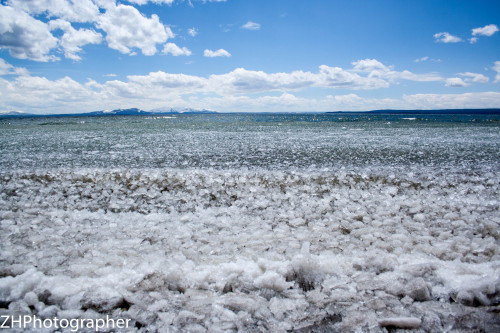 Ice on Yellowstone lake in June 2011