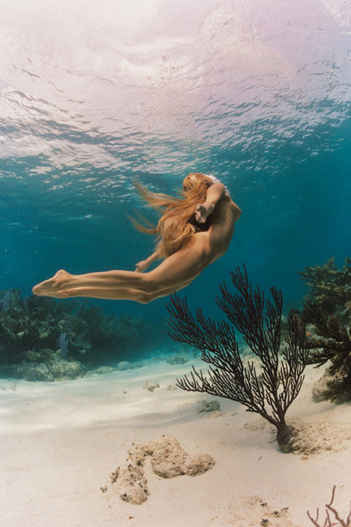 oceans-of-beauty:  . 