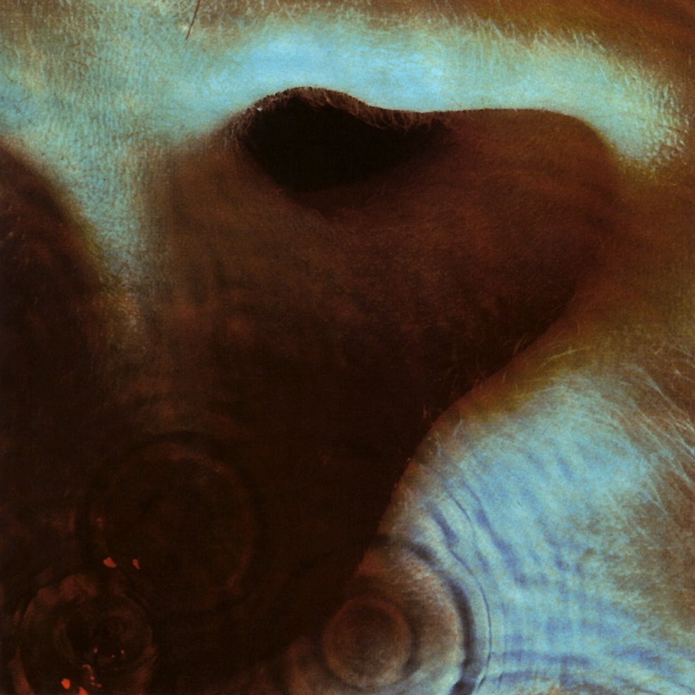 magictransistor:  Pink Floyd . Meddle . EMI/Harvest Records . 1971