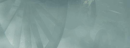 lordranandbeyond:   An old blood-stained summons, inviting an honored guest to the