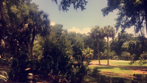 Hiltonhead Island