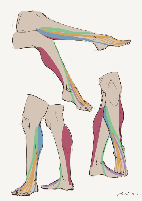 captainflipflops: Last feet/leg related drawings, for now! Arms are up next