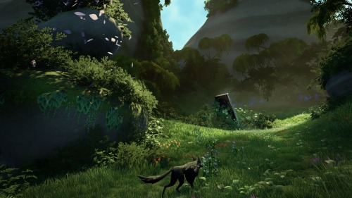 scapponess:  kf-tea:  kalkiesafan:  jefflaclede:  lepetitdragon:  killscreen:  An upcoming game lets you explore Mesoamerican ruins as a wolf  WHEEZEI NEED IT  hello  @fedoraspooky @kf-tea @kitsiinabox  Oh my goodness this looks stunning. Look at the