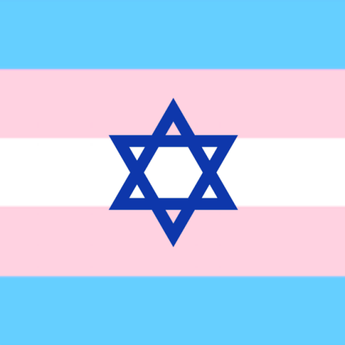 strawbearyhoney:jewish pride flags!