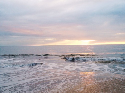 pure-wings:  the world is too beautiful for humans tbh 