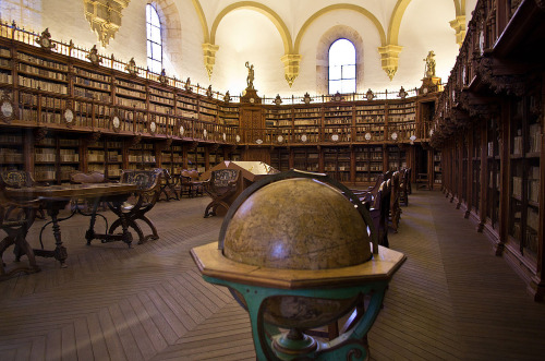 nevver:  la Bibliothèque