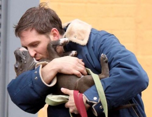wtfzurtopic: Tom Hardy loves every dog. 