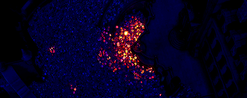 xaviersmind: colors | random Tangled + Scenerygasm; requested by headlessmonk