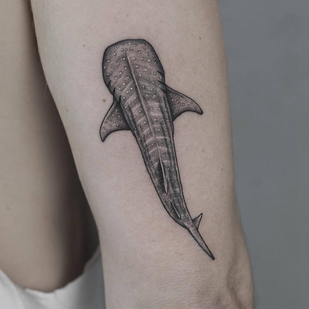 whale shark tattoo  Shark tattoos Whale shark tattoo Body art tattoos
