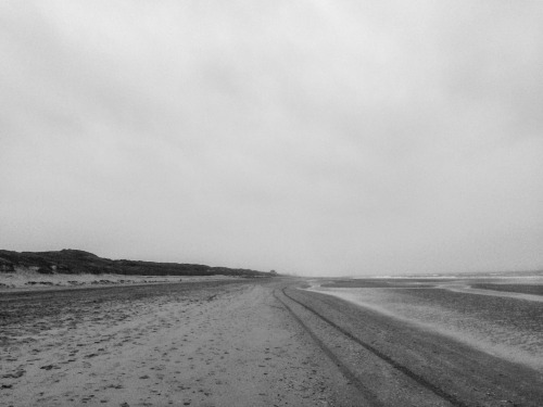 kaasverhuur:  Bloemendaal aan Zee, 2015, Sjoerd Martens