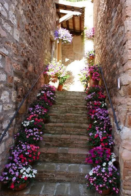words-of-emotion:  More pictures here 