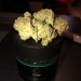 Super Glue 