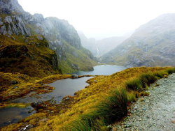 just-breezy:  Harris Saddle on the Routeburn Track, South Island, New Zealand by Michael Blackam