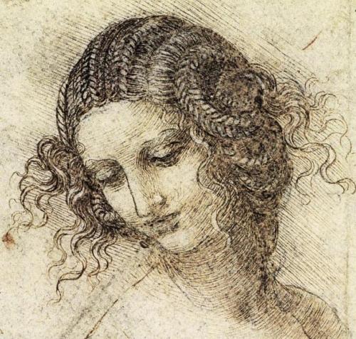 Sex artist-davinci:  Study for the Head of Leda, pictures