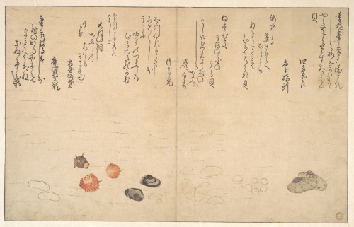 animus-inviolabilis: Shells Under Water Kitagawa Utamaro喜多川 歌麿 1790