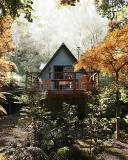 wild-cabins:  Joshua San