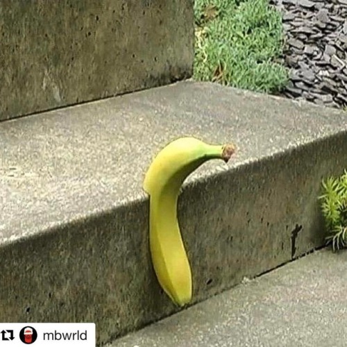 #dailybanana  #Repost @mbwrld